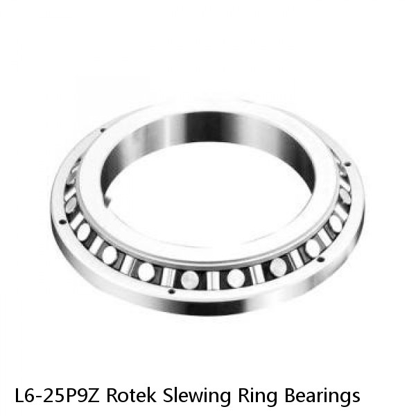 L6-25P9Z Rotek Slewing Ring Bearings