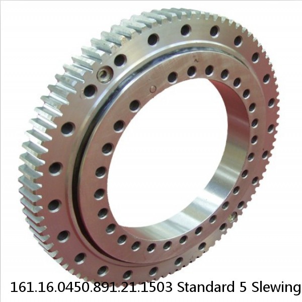 161.16.0450.891.21.1503 Standard 5 Slewing Ring Bearings