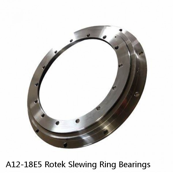 A12-18E5 Rotek Slewing Ring Bearings