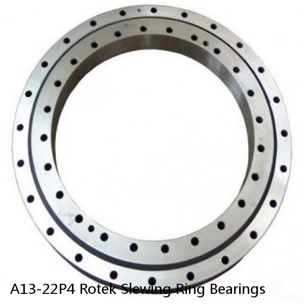 A13-22P4 Rotek Slewing Ring Bearings