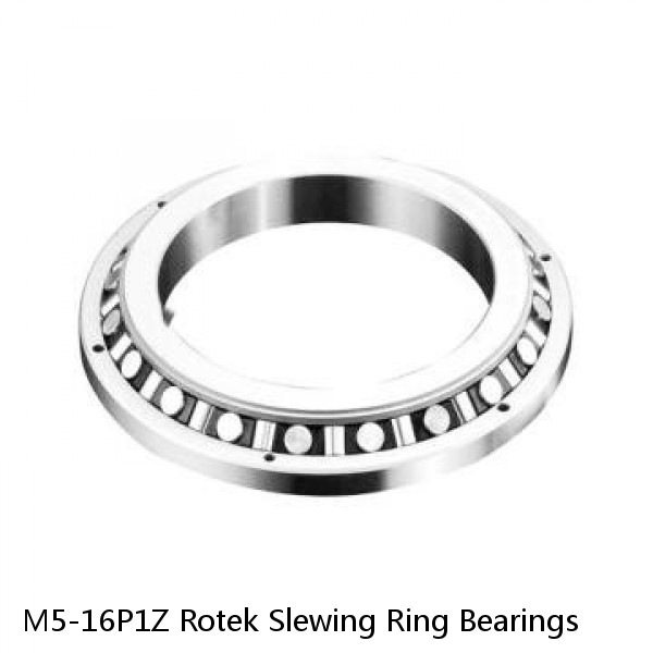 M5-16P1Z Rotek Slewing Ring Bearings