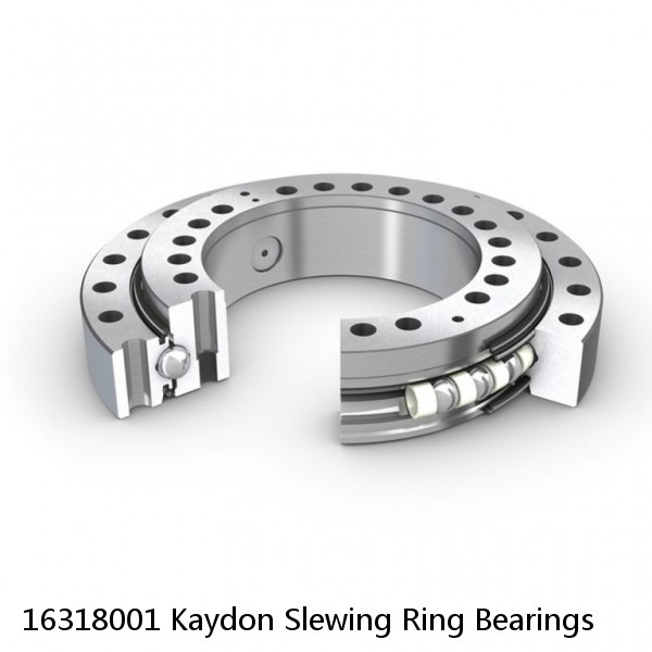 16318001 Kaydon Slewing Ring Bearings