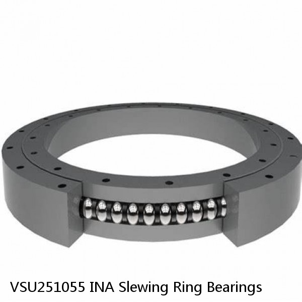 VSU251055 INA Slewing Ring Bearings