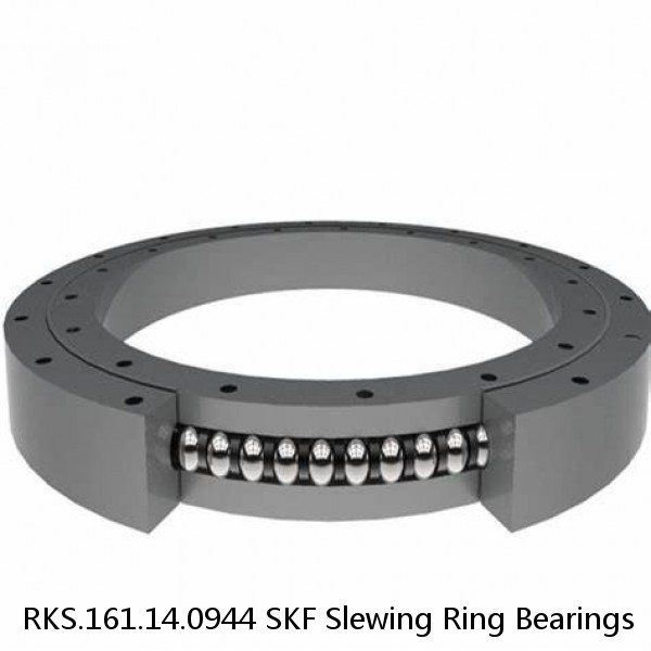 RKS.161.14.0944 SKF Slewing Ring Bearings