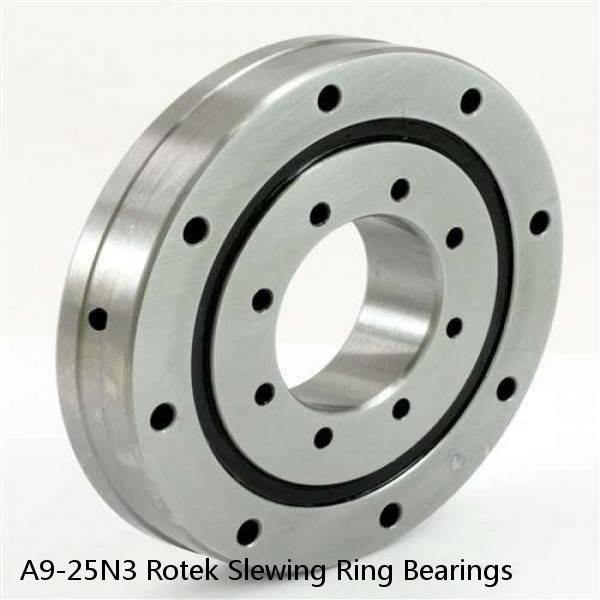 A9-25N3 Rotek Slewing Ring Bearings