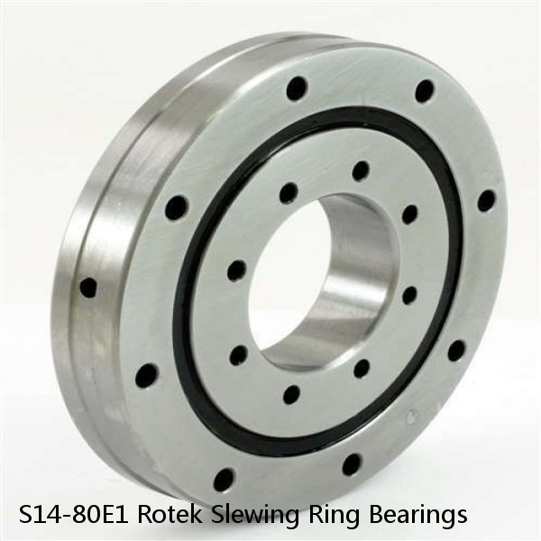 S14-80E1 Rotek Slewing Ring Bearings