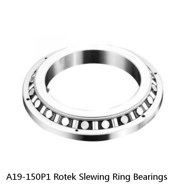 A19-150P1 Rotek Slewing Ring Bearings