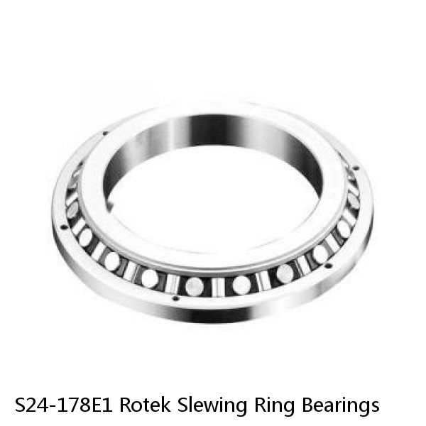 S24-178E1 Rotek Slewing Ring Bearings