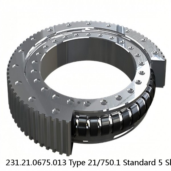 231.21.0675.013 Type 21/750.1 Standard 5 Slewing Ring Bearings