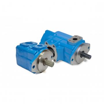 PV2r 17 Gallon 21gallon Hydraulic Pumps