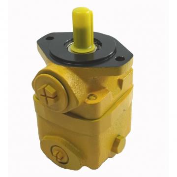 Hydraulic Vane Pump for Vickers (V20, V10, V2010, V20F, V10F)