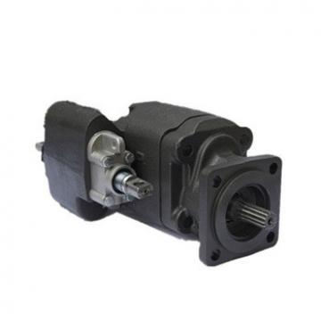 Gear Pump, Dump Truck Parts, Lifting Pump, Heat Pump (C102)