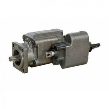 C101 102 Dump Pump