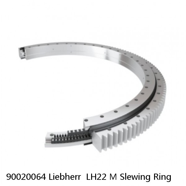 90020064 Liebherr  LH22 M Slewing Ring