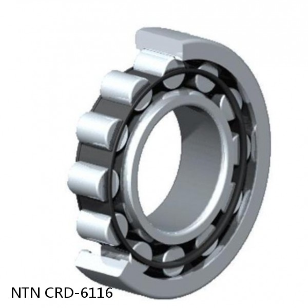 CRD-6116 NTN Cylindrical Roller Bearing #1 small image