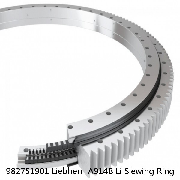 982751901 Liebherr  A914B Li Slewing Ring #1 small image