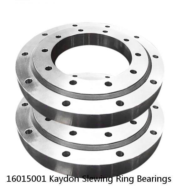 16015001 Kaydon Slewing Ring Bearings #1 small image