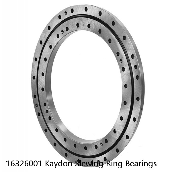 16326001 Kaydon Slewing Ring Bearings #1 small image