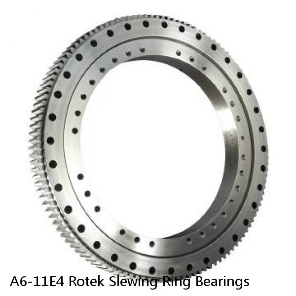 A6-11E4 Rotek Slewing Ring Bearings #1 small image