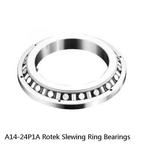 A14-24P1A Rotek Slewing Ring Bearings #1 small image