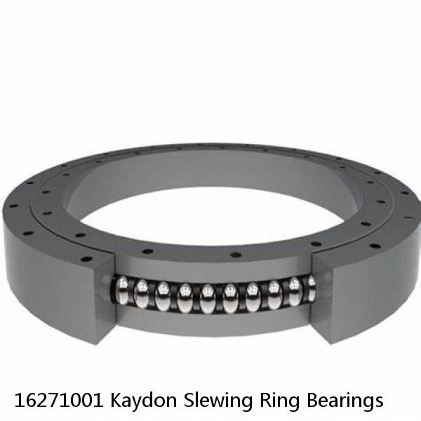 16271001 Kaydon Slewing Ring Bearings #1 small image