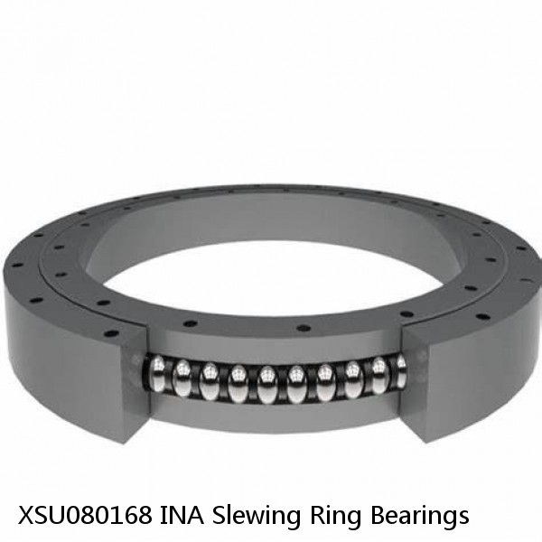 XSU080168 INA Slewing Ring Bearings #1 small image