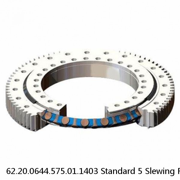 62.20.0644.575.01.1403 Standard 5 Slewing Ring Bearings #1 small image