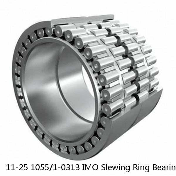 11-25 1055/1-0313 IMO Slewing Ring Bearings