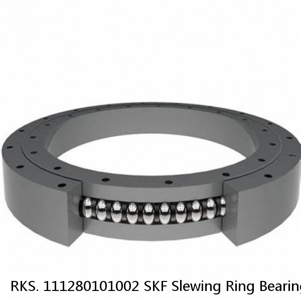 RKS. 111280101002 SKF Slewing Ring Bearings #1 small image