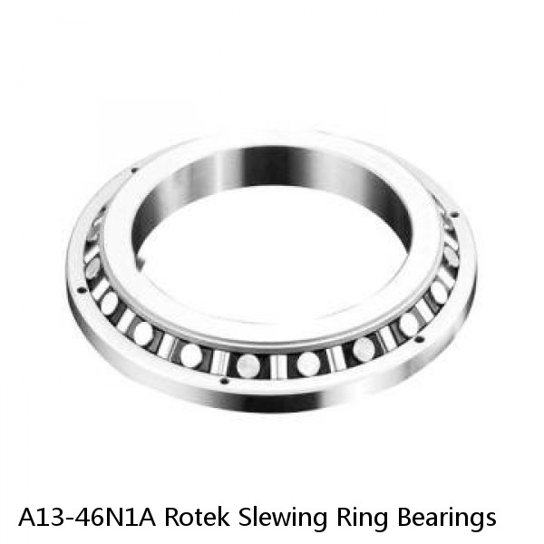 A13-46N1A Rotek Slewing Ring Bearings #1 small image