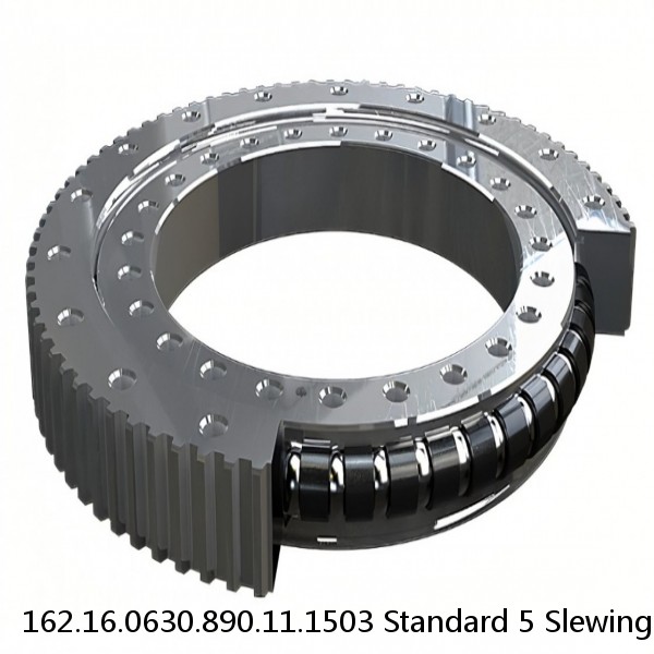 162.16.0630.890.11.1503 Standard 5 Slewing Ring Bearings #1 small image