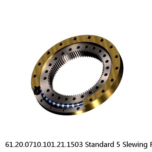 61.20.0710.101.21.1503 Standard 5 Slewing Ring Bearings #1 small image