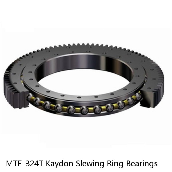 MTE-324T Kaydon Slewing Ring Bearings #1 small image