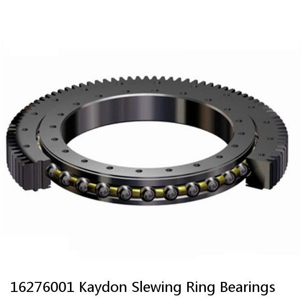 16276001 Kaydon Slewing Ring Bearings #1 small image