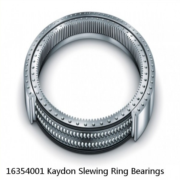 16354001 Kaydon Slewing Ring Bearings #1 small image