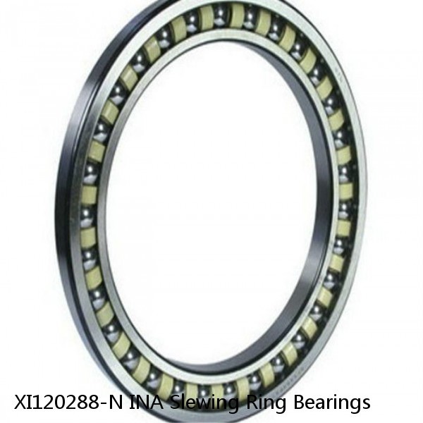 XI120288-N INA Slewing Ring Bearings #1 small image