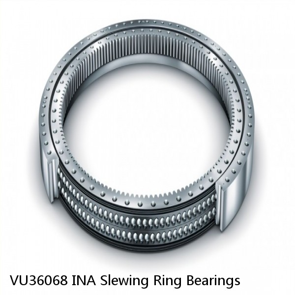 VU36068 INA Slewing Ring Bearings #1 small image