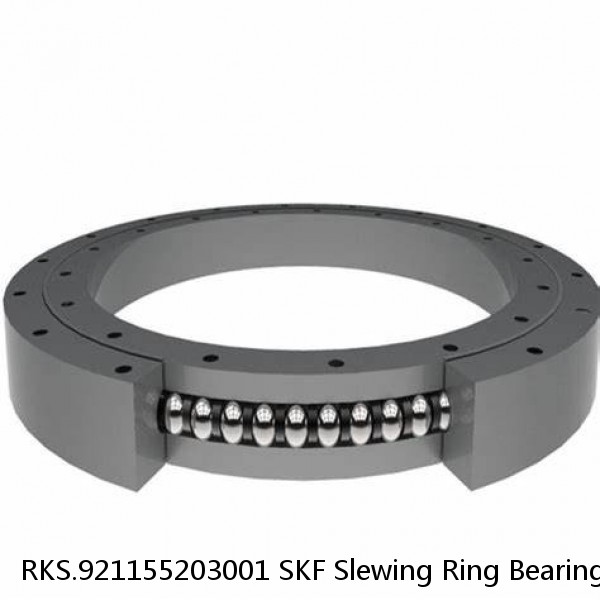 RKS.921155203001 SKF Slewing Ring Bearings #1 small image