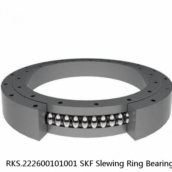 RKS.222600101001 SKF Slewing Ring Bearings #1 small image