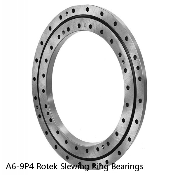 A6-9P4 Rotek Slewing Ring Bearings #1 small image