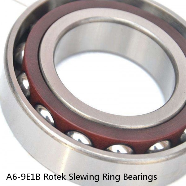 A6-9E1B Rotek Slewing Ring Bearings #1 small image