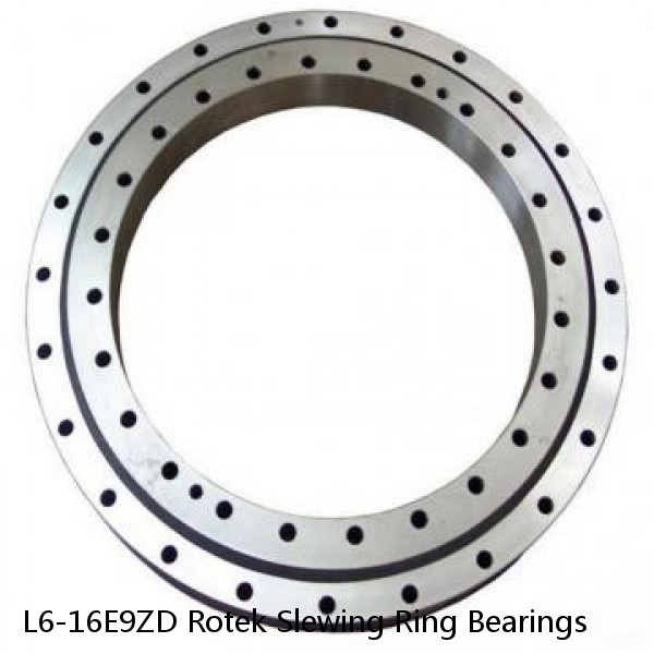 L6-16E9ZD Rotek Slewing Ring Bearings #1 small image