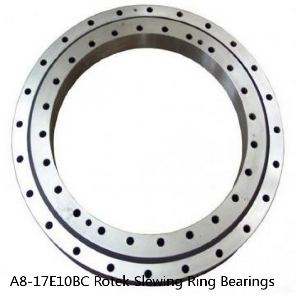 A8-17E10BC Rotek Slewing Ring Bearings #1 small image