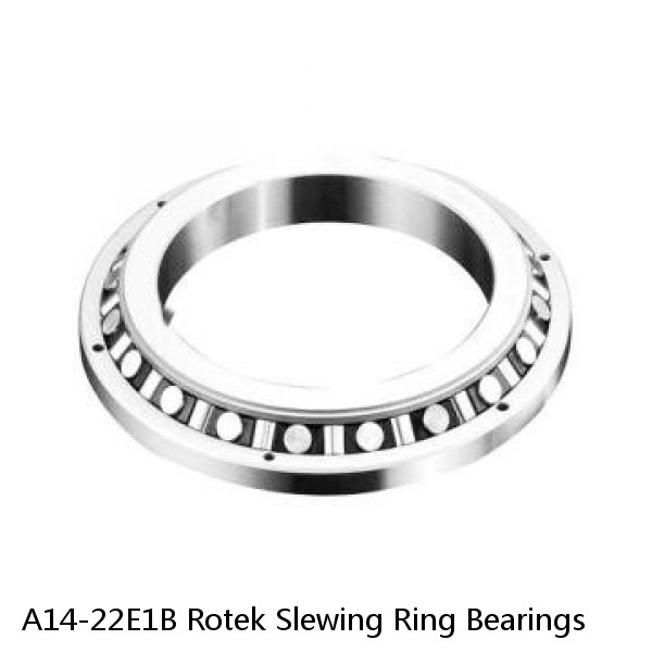 A14-22E1B Rotek Slewing Ring Bearings #1 small image