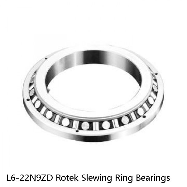 L6-22N9ZD Rotek Slewing Ring Bearings #1 small image