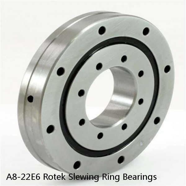 A8-22E6 Rotek Slewing Ring Bearings #1 small image