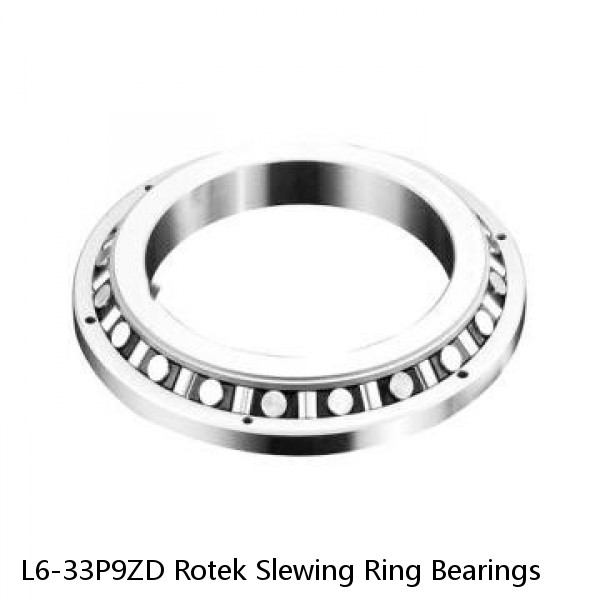 L6-33P9ZD Rotek Slewing Ring Bearings #1 small image