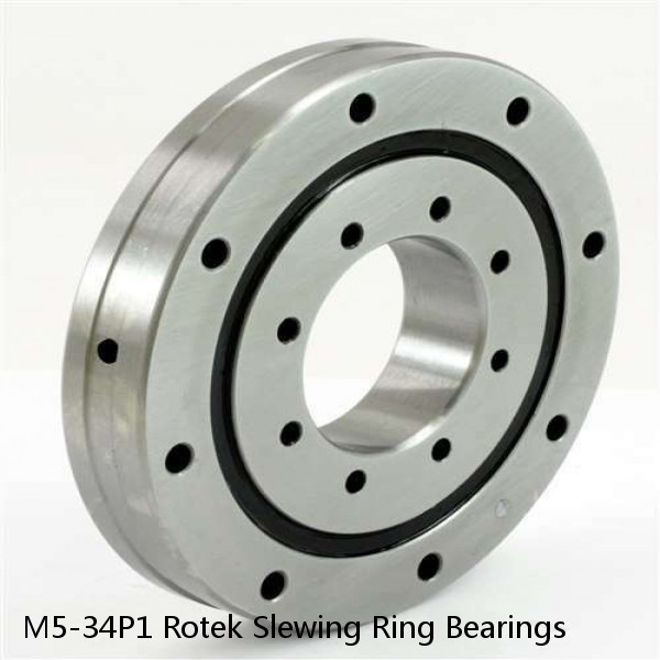M5-34P1 Rotek Slewing Ring Bearings
