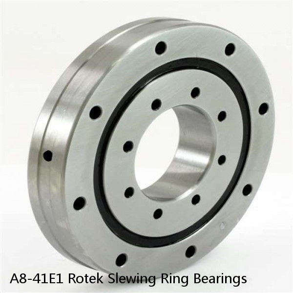 A8-41E1 Rotek Slewing Ring Bearings #1 small image