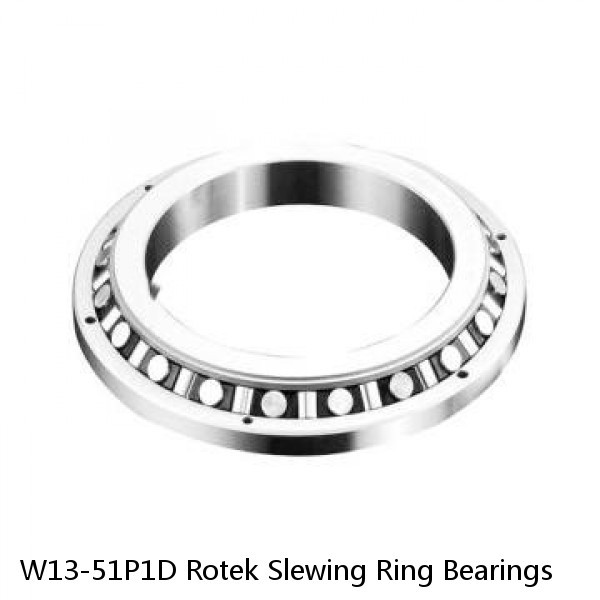 W13-51P1D Rotek Slewing Ring Bearings #1 small image